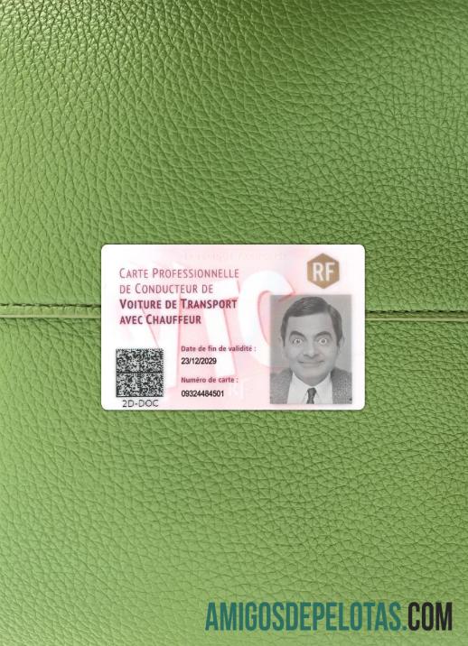 Carteira de motorista profissional francesa fotolook frenteal modelo